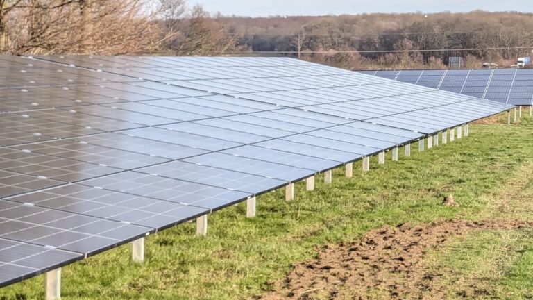 Foto des 122-Megawatt-Solarparks in Brandenburg, der 36.000 Haushalte mit Strom versorgt.