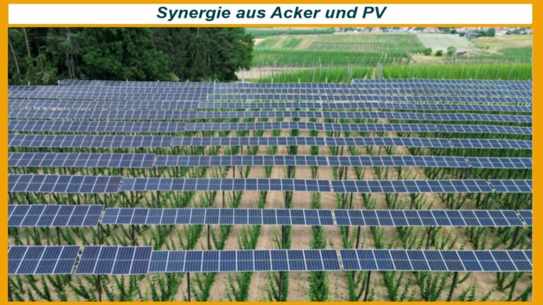 Foto von integrierten Solaranlagen auf Äckern, die zur Energiewende und als Energiespeicher beitragen.