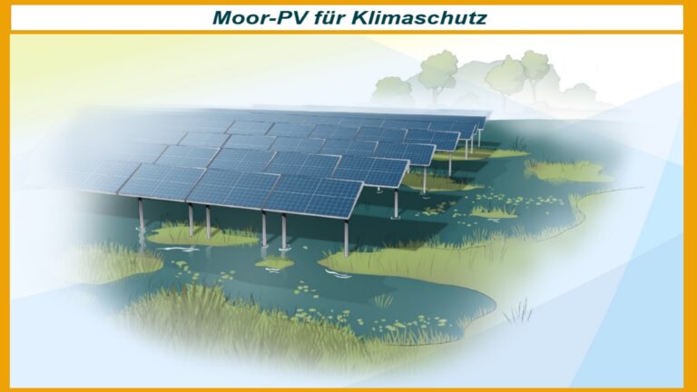 Photovoltaikanlage auf wiedervernässtem Moorboden zur gleichzeitigen Nutzung für Klimaschutz und Stromerzeugung.