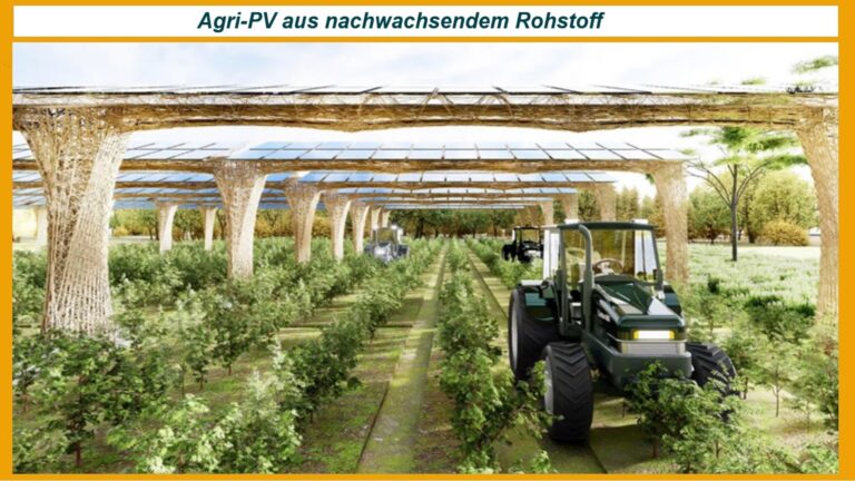 Agri-PV-Anlage mit organischen Materialien anstelle von Stahl, entwickelt von AgroSolar Europe und FibR.