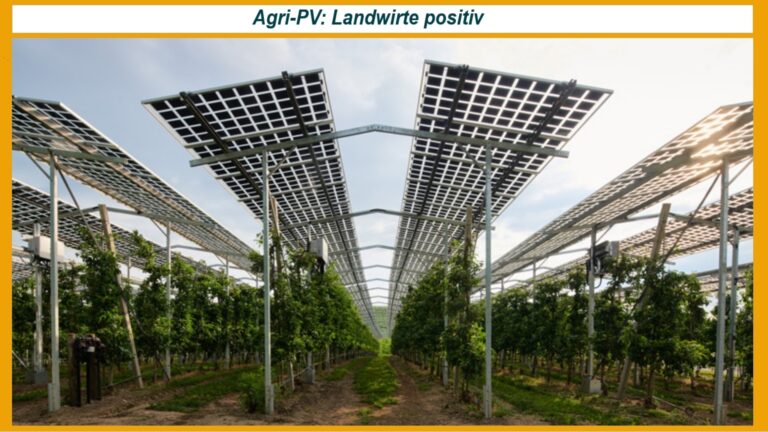 Landwirtschaftliche Nutzung unter Photovoltaikanlagen, Agri-Photovoltaik unterstützt nachhaltige Landwirtschaft und Energiewende.