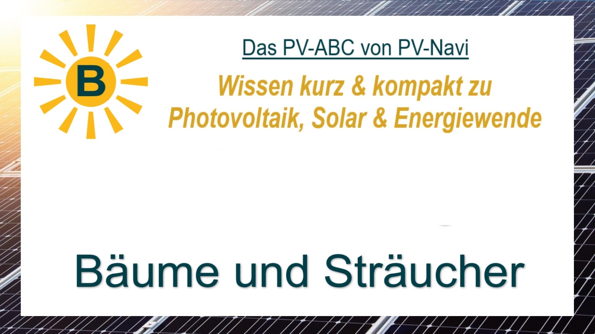 Bäume und Sträucher können PV-Module verschatten und den Ertrag reduzieren, daher müssen sie bei Planung berücksichtigt werden.