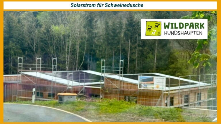 Solarstrom treibt die Schweinedusche im Wildpark an, unterstützt durch innovative Photovoltaiktechnologie.