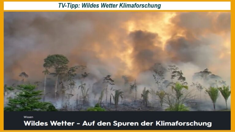 Wir müssen uns auf zunehmende Extremwetterereignisse wie Hitze, Dürre und Stürme einstellen