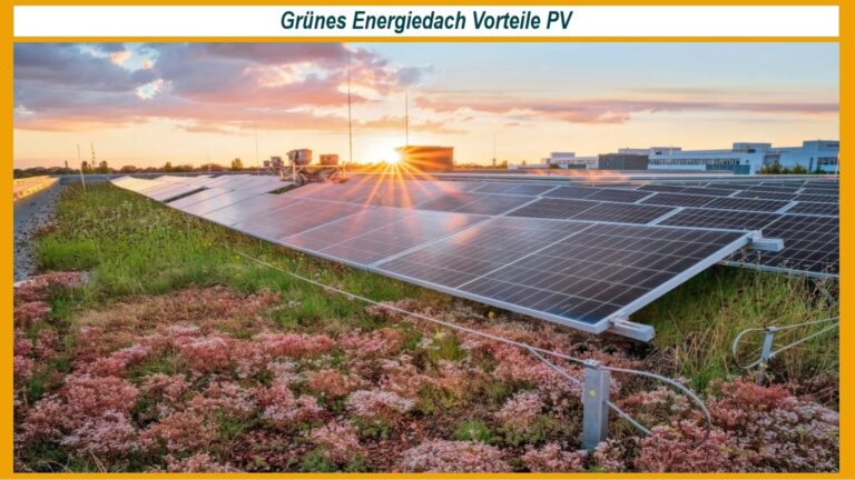 Ein begrüntes Dach mit einer Photovoltaikanlage, das sowohl Energie erzeugt als auch ökologische Vorteile bietet.