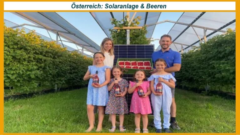 Familie Deix steht unter Solarmodulen, die ihre Beerenpflanzen im Wienerwald schützen.