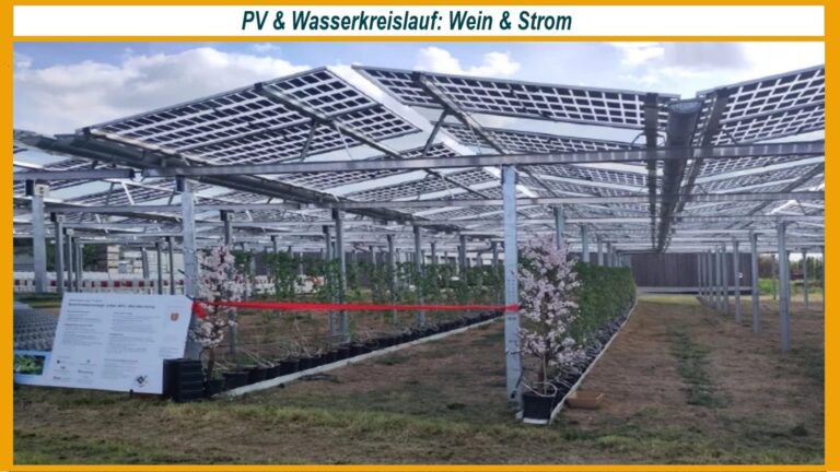 Agri-PV-System über verschiedenen Beerensorten mit geschlossenen Kreisläufen für Wasser und Nährstoffe.