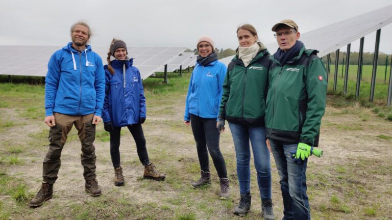 Solarpark Nochten mit Naturschutzmaßnahmen, um Rückzugsorte für Flora und Fauna in einer Freiflächen-Photovoltaikanlage zu schaffen.