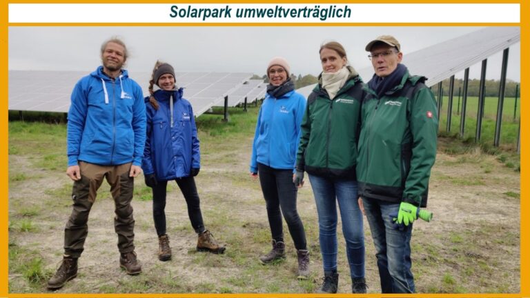 Solarpark Nochten mit Naturschutzmaßnahmen, um Rückzugsorte für Flora und Fauna in einer Freiflächen-Photovoltaikanlage zu schaffen.