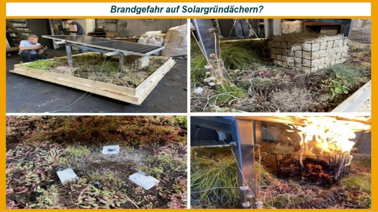 Die Abbildung zeigt verschiedene Fotos von Experimenten zur Brandgefahr bei Photovoltaikanlagen auf Gründächern.