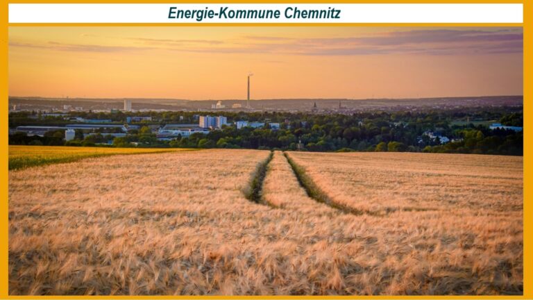Idylle in Chemnitz mit dem Roggenfeld im Vordergrund, der die Solarenergie-Initiativen der Stadt hervorhebt.