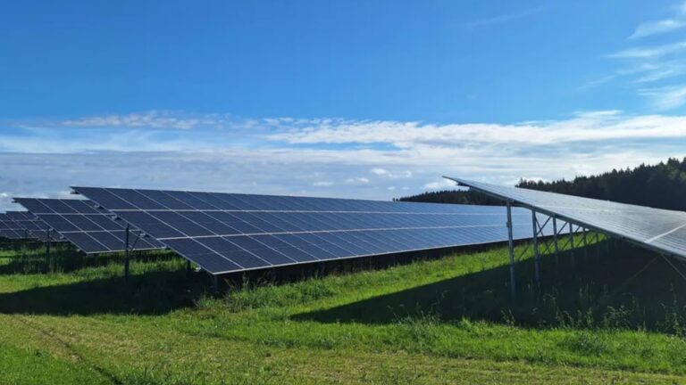 Blick auf den Solarpark Haslach in Rot an der Rot