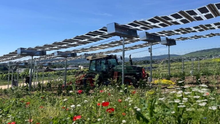 Agri-Photovoltaikanlage mit Solar-Panels und landwirtschaftlicher Nutzung, zeigt die Kombination von Energie- und Nahrungsmittelproduktion.