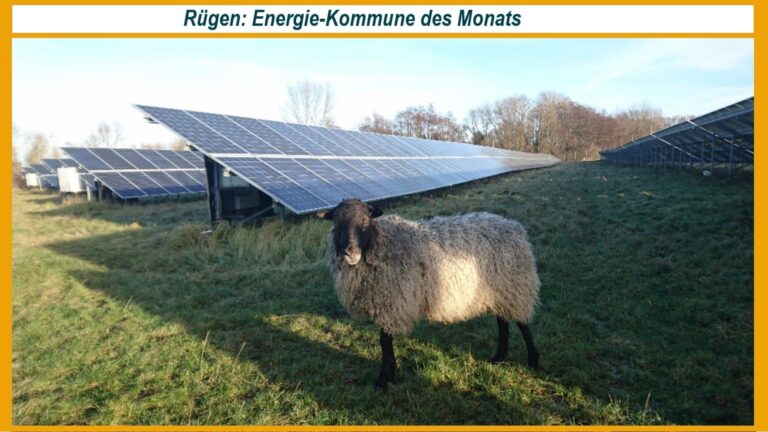 Photovoltaikanlage auf der Insel Rügen, ein Symbol für die Energiewende und nachhaltige Energiespeicherung.