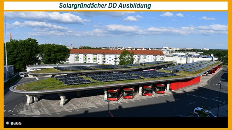 Solargründächer: Ein praktischer Beitrag des Dachdeckerhandwerks zur Klimaanpassung und Energiewende.