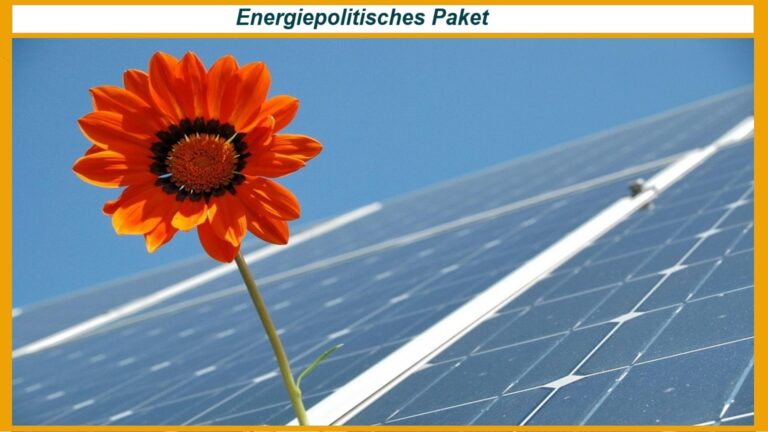 Symbolbild eines Photovoltaik-Moduls mit Blume, das die Verbindung zwischen Solarenergie und Natur darstellt.
