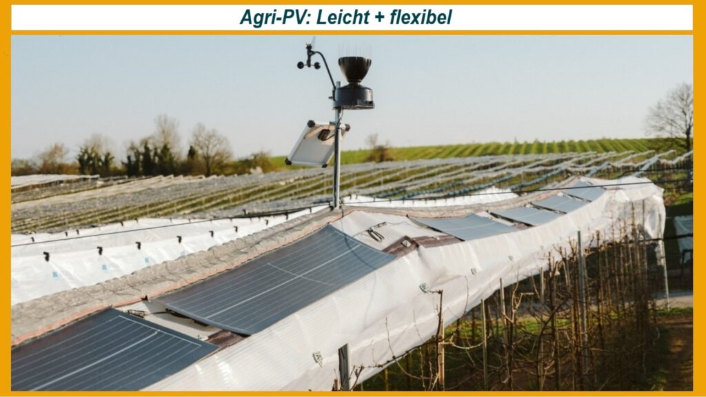 Agri-Photovoltaik-Anlage mit leichten Solarmodulen über Kirschbäumen auf einem Obstbaubetrieb in Oberschwaben.