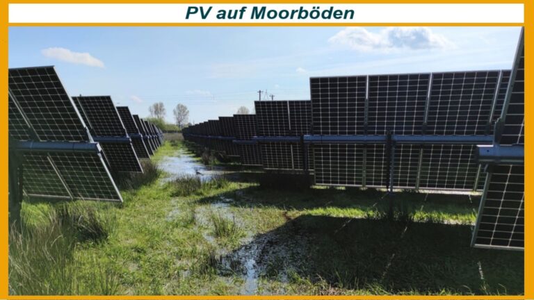 Photovoltaik-Anlage auf wiedervernässtem Moorboden – Beispiel für nachhaltige Solarenergie und Moorschutz.