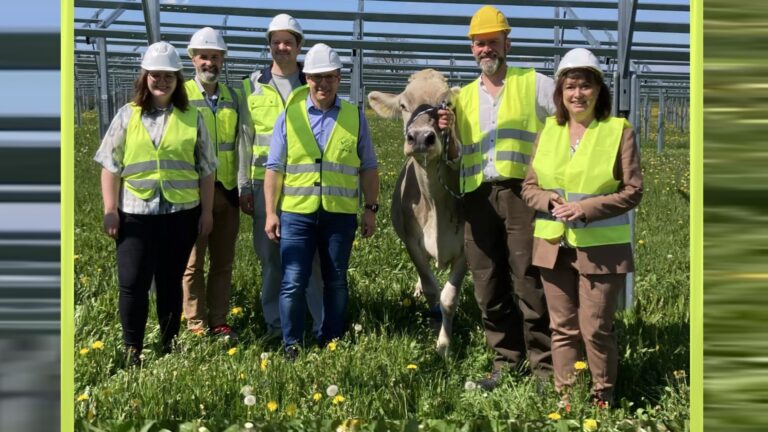 Gruppenfoto mit Vertreter:innen von Nestlé, BayWa r.e., der Landrätin und einem Landwirt mit Kuh vor geplanter Agri-Photovoltaik-Anlage in Biessenhofen.