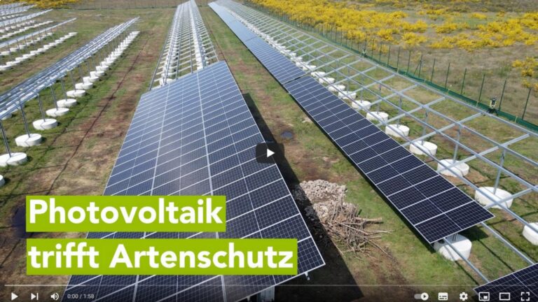 Titelbild des Films zeigt die neue Photovoltaikanlage in Schwerin im Einklang mit der Natur.