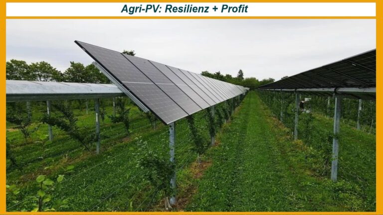 Agri-Photovoltaik-Anlage mit nachgeführten Solarmodulen über jungen Apfelbäumen, ergänzt durch Energiespeicher.