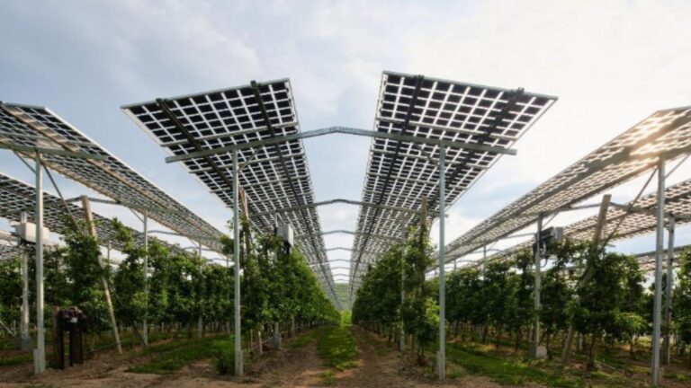 Photovoltaik-Module über Apfelbäumen zeigen das Potenzial von Agri-Photovoltaik für Landwirtschaft und Klimaschutz.