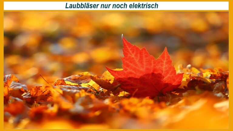 Elektrisches Laubbläser-Symbolbild mit Laub auf dem Boden; Symbol für emissionsarme Gartenpflege und die Nutzung von Photovoltaik-Strom zum Laden von Akku-Geräten.