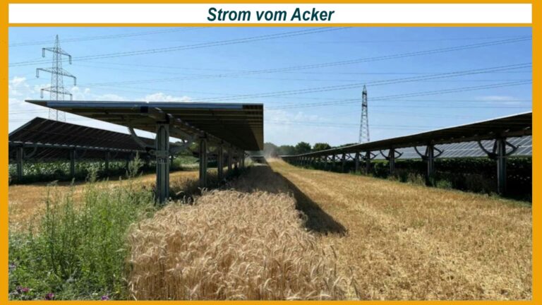 Agri-PV-Anlage in Höhnhart: Photovoltaik-Module auf Trackern erzeugen Strom und ermöglichen Landwirtschaft