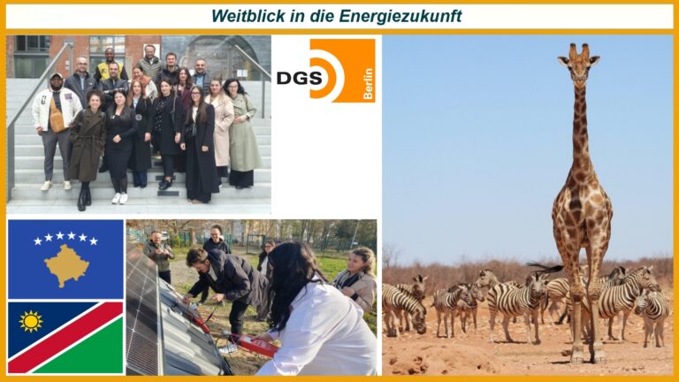 Collage aus DGS-Logo, Namibia-Flagge, Safari-Tieren und Fotos internationaler Solarschulungen in Berlin