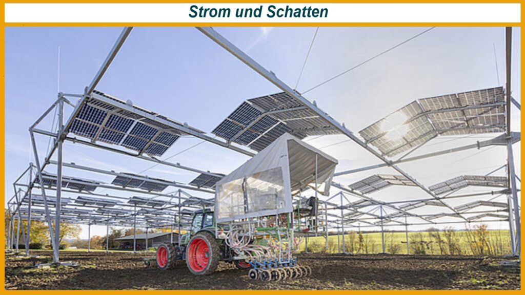 Traktor fährt unter hochgeständerten Agri-PV-Modulen der Uni Hohenheim über Versuchsfelder in Renningen.