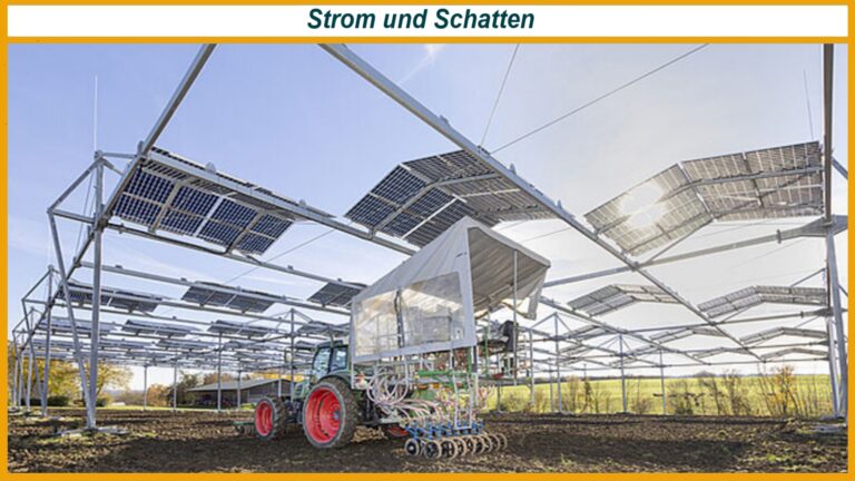 Traktor fährt unter hochgeständerten Agri-PV-Modulen der Uni Hohenheim über Versuchsfelder in Renningen.