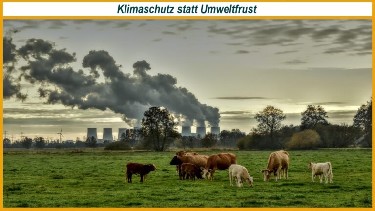 Kühe grasen auf einer Wiese, im Hintergrund Industrieanlage mit rauchenden Schornsteinen als Symbol für Klimabelastung.