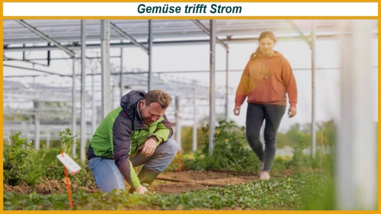 Landwirt und Landwirtin arbeiten unter Solardach auf Ackerfläche und zeigen Agri Photovoltaik in Anwendung
