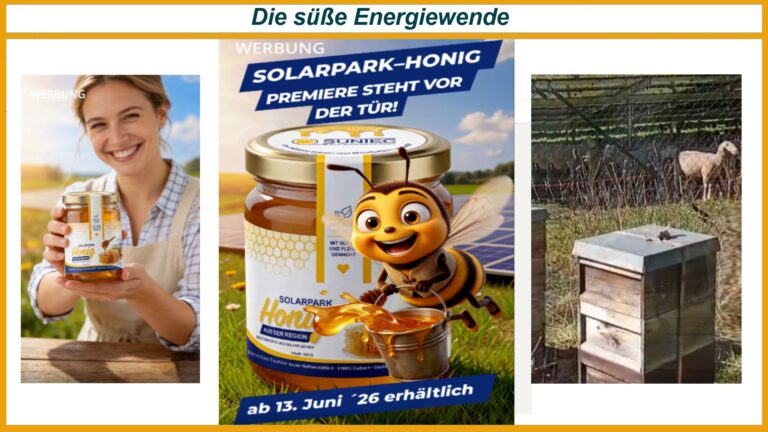 Collage mit Honigglas, Bienenmotiv, Imkerprodukt und Bienenstock in einem Solarpark als Beispiel für Biodiversität und Photovoltaik