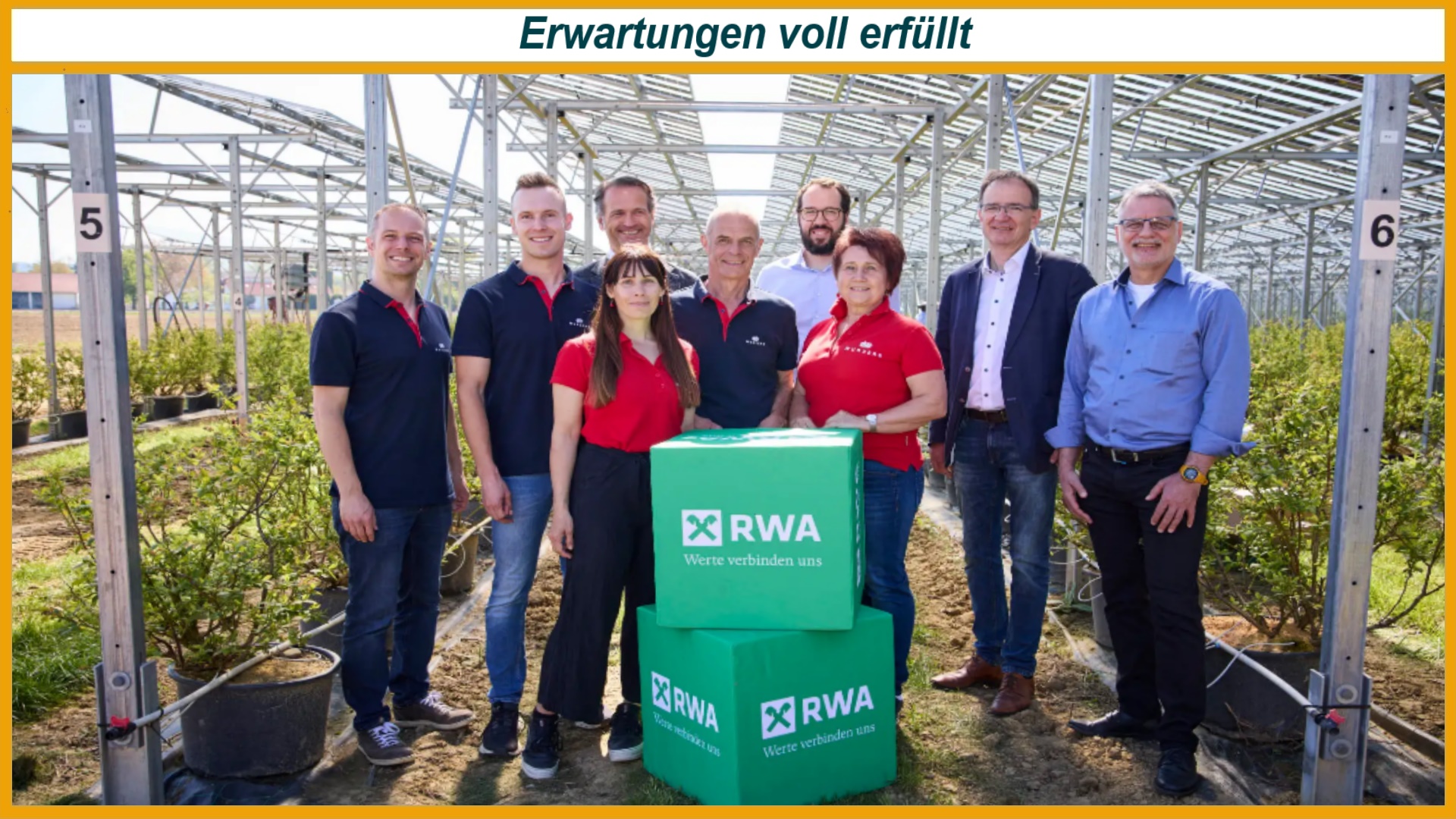 Heidelbeeren wachsen unter den Photovoltaikmodulen der Agri-PV-Anlage in Bodensdorf. Das Projektteam zeigt bei der Eröffnung, wie sich landwirtschaftliche Nutzung und Solarstromerzeugung auf derselben Fläche miteinander verbinden lassen.